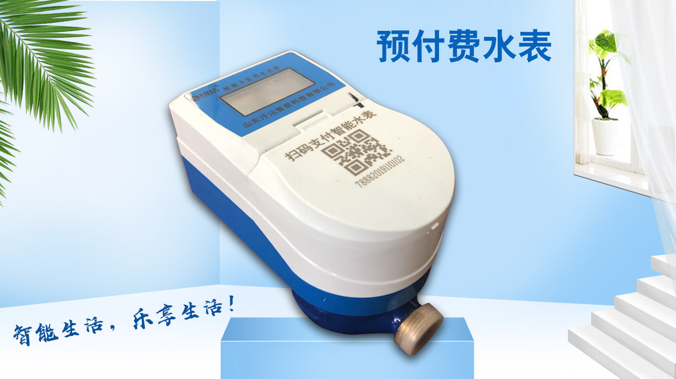 山東物聯(lián)網(wǎng)水表廠家