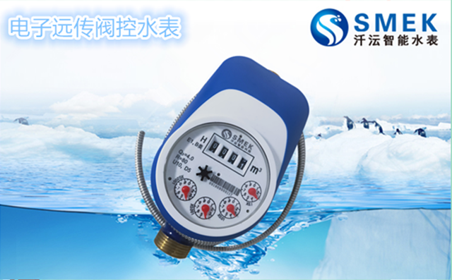 智能遠(yuǎn)傳水表