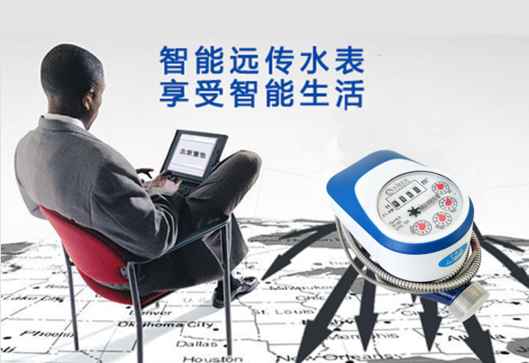 閥控智能遠(yuǎn)傳水表